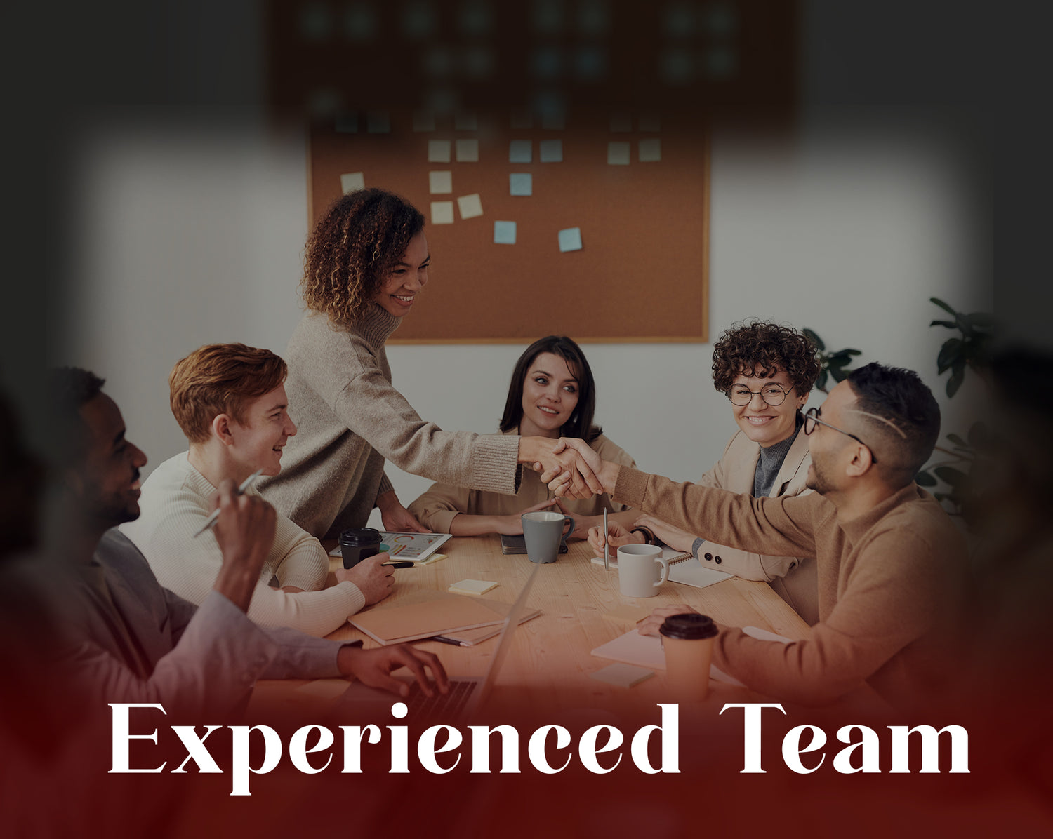 Experienced Team